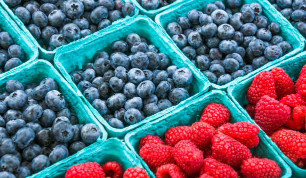 istock Fruits of Summer 1166489715
