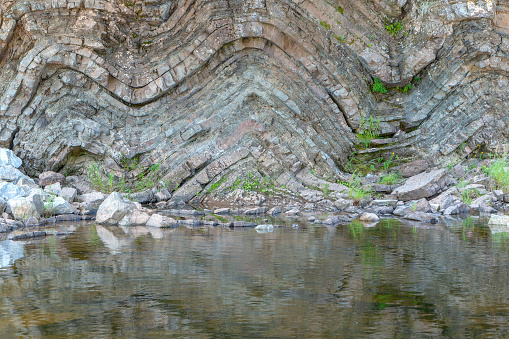 A geological fold in sedimentary rock. The fold is in a cliff above a river. Many layers of sedimentary rock visible. Plants grow from the rock.