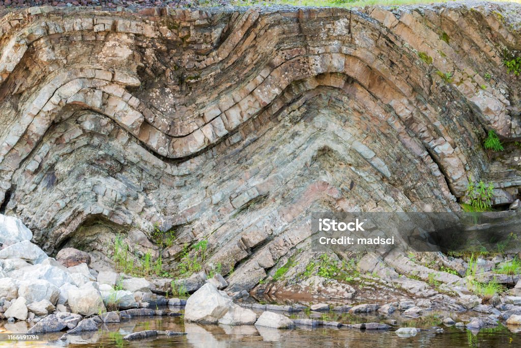 Geologic Fold A geological fold in sedimentary rock. The fold is in the shape of a letter "M" in a cliff above a river. Many layers of sedimentary rock visible. Plants grow from the rick beside and below the fold. Geology Stock Photo