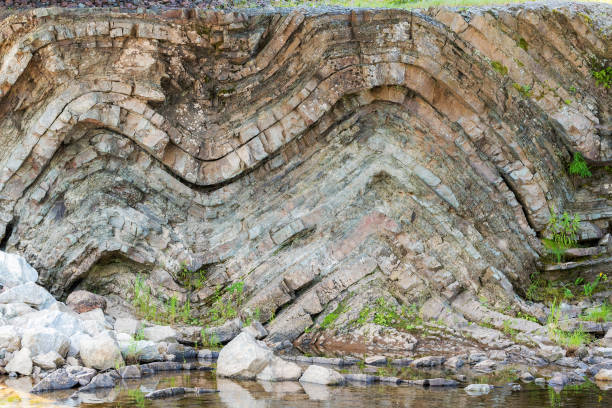 Geologic Fold A geological fold in sedimentary rock. The fold is in the shape of a letter "M" in a cliff above a river. Many layers of sedimentary rock visible. Plants grow from the rick beside and below the fold. new brunswick canada photos stock pictures, royalty-free photos & images