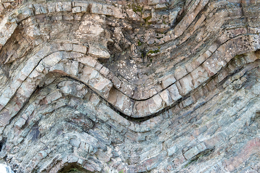 A geological fold in sedimentary rock. The fold is in a cliff. Many layers of sedimentary rock visible. Closeup view.