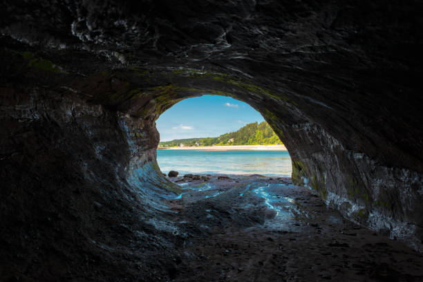 Looking Out From A Sea Cave Looking out from inside a sea cave. Blue sky, water, beach, and trees outside. The walls of the cave are wet and reflect light from the outside. st. martins stock pictures, royalty-free photos & images