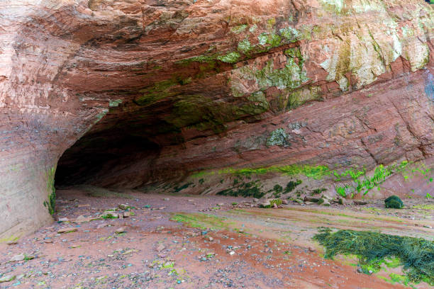 The entrance to a sea cave at low tide. The cave is dark inside. Algae on the walls and ceiling. The cave is in sedimentary rock and was formed by erosion.