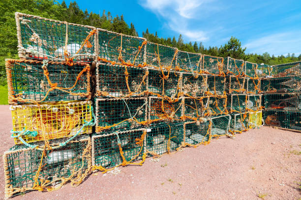Lobster Traps Green wire lobster traps stacked on the ground. Lots of rope on and around the traps. Partially cloudy blue sky above, and trees in the background. Bright sunny day. st. martins stock pictures, royalty-free photos & images