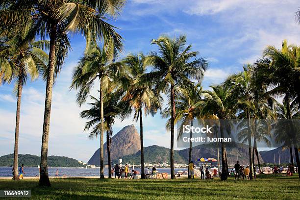 Flamengo 公園とシュガーローフ - ウルカ地区のストックフォトや画像を多数ご用意 - ウルカ地区, カラー画像, グアナバラ湾