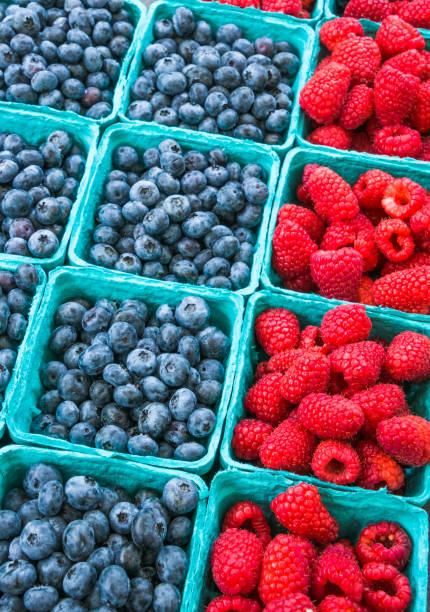 frutas dulces de verano - august cape cod massachusetts new england fotografías e imágenes de stock