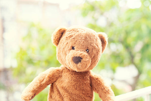 istock teddy bear. teddy brown bear, outdoor 1166495375