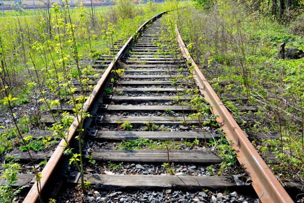 istock Old rusty rails of an abandoned railway. 1166495443