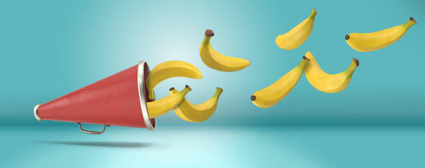 istock Old megaphone and spreading banana fruits 1166496245