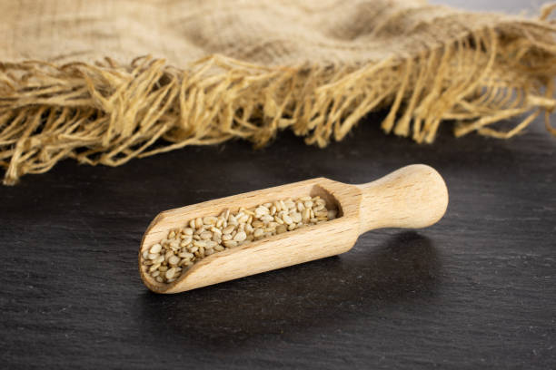 Unpeeled sesame seeds on grey stone