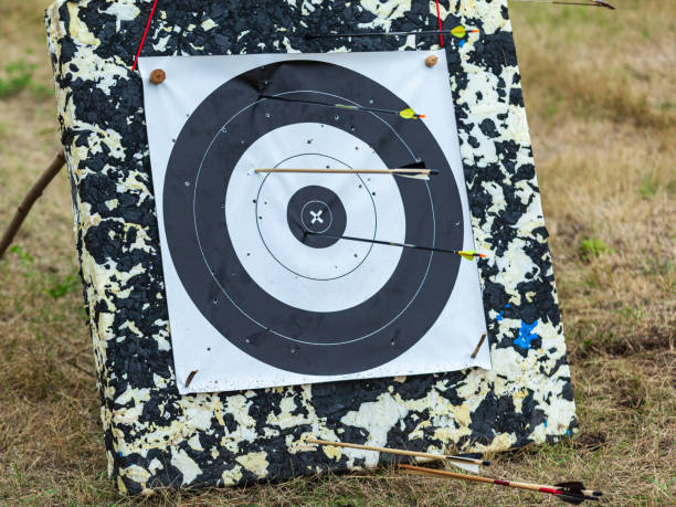 istock Arrows stick out in a round target. 1166497351