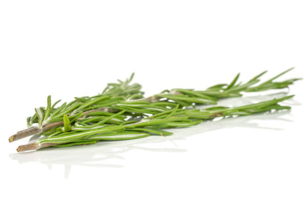 istock Fresh rosemary herb isolated on white 1166498376