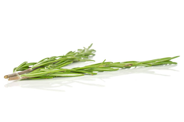istock Fresh rosemary herb isolated on white 1166498382