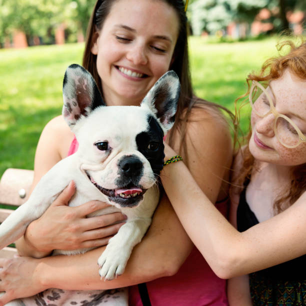 istock Two girls in a park with a dog 1166498697