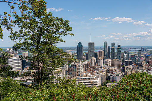 Montreal, 1 August 2019: Montreal skyline from Mont Royal Mountain in summertime