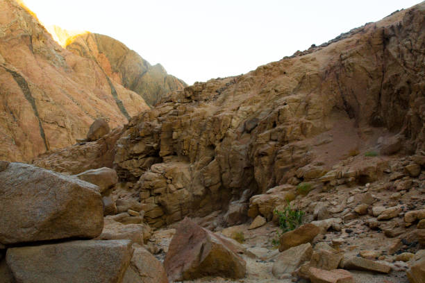 istock Mountains and rock formations in the sinai desert 1166503225