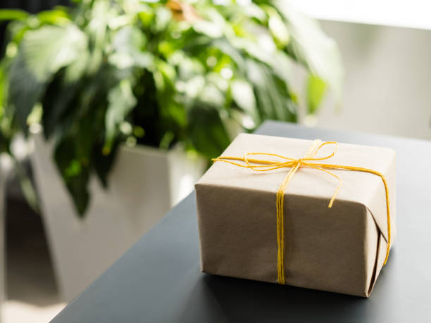 istock goods delivery service beige paper gift box plant 1166511108