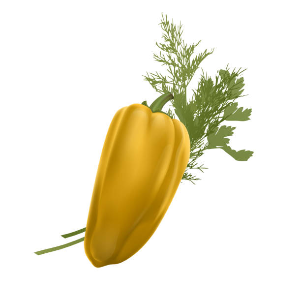 白い背景に分離された新鮮な黄色のコショウ野菜。農場市場のためのコショウ、現実的なスタイルのベクトルイラスト - pepper bell pepper market spice点のイラスト素材／クリップアート素材／マンガ素材／アイコン素材