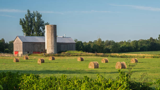 Farmers field with hay bales and classic barn