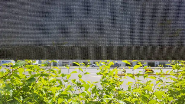 Photo of The Perfect Window Screen To Block Heat And Bring Shade