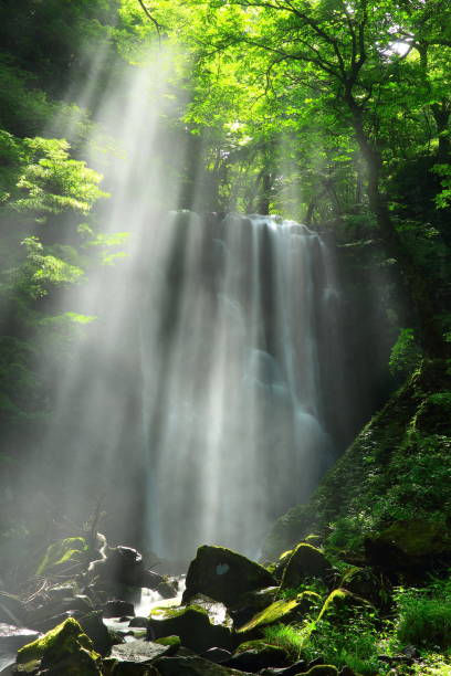 istock Akita Prefecture Summer Falls 1166520325
