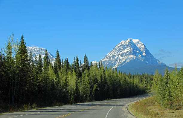 istock Geraldine Peak and Icefield Parkway 1166524399