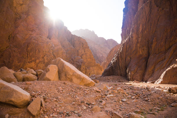 istock Mountains and rock formations in the sinai desert 1166525361
