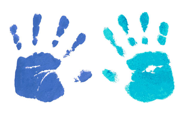 istock Handprints by children isolated on a white background 1166526869