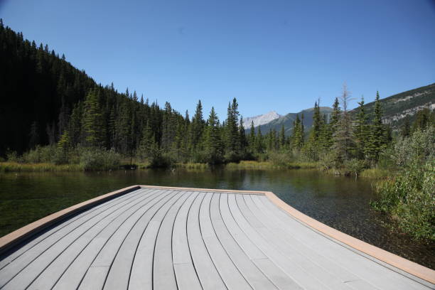 istock Kananaskis Country 1166527613