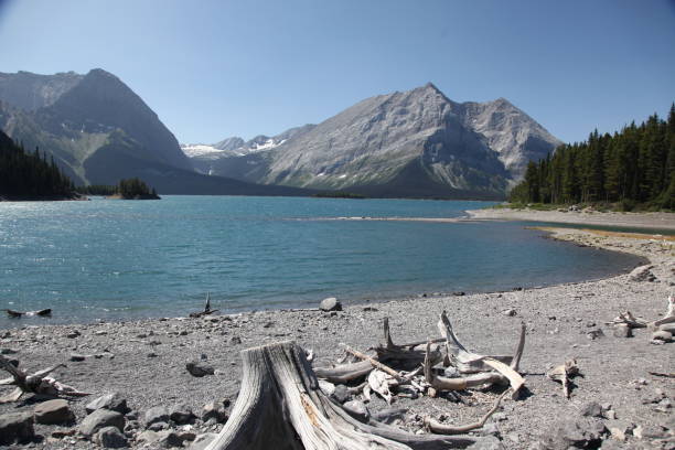 istock Kananaskis Country 1166527745