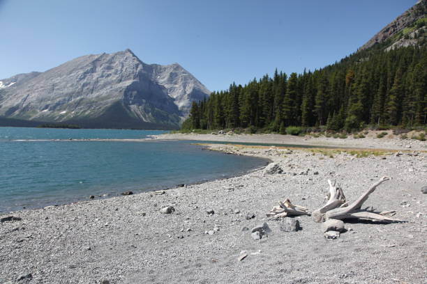 istock Kananaskis Country 1166527760