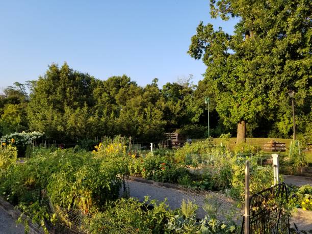 istock Community garden in botanical garden natural conservatory 1166527950