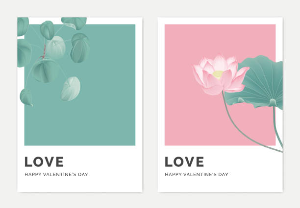 ilustraciones, imágenes clip art, dibujos animados e iconos de stock de diseño de plantilla de tarjeta de felicitación botánica minimalista, planta pilea peperomioides en verde y loto en rosa - lotus