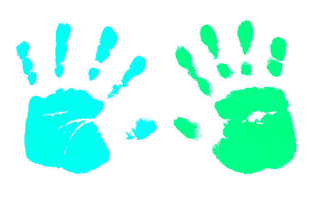 istock Handprints by children isolated on a white background 1166529971