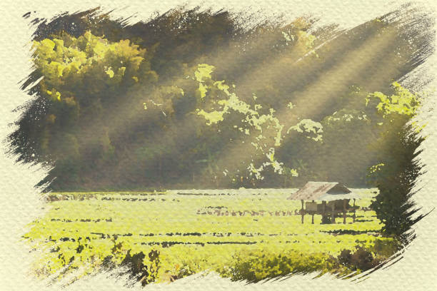 istock Cottage in the paddy among forest and mountain. 1166531876