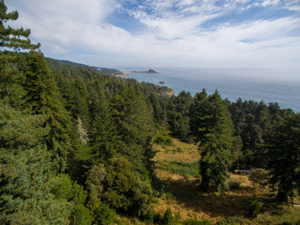 antenne der nordkalifornischen küste mit wald und ozean - mendocino county northern california california coastline stock-fotos und bilder