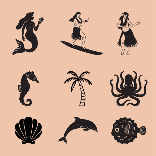 Vintage Tropical Icon Illustrations Set of 9 tropical hand drawn icons in a timeless style. Each icon has a rough, vintage texture. hawaii islands illustrations stock illustrations
