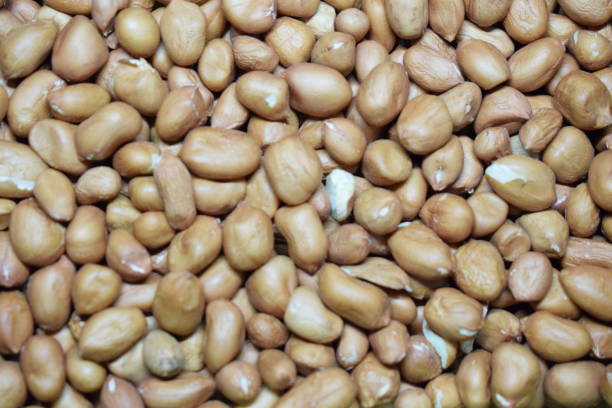 istock The Peanuts For Food Background 1166538148