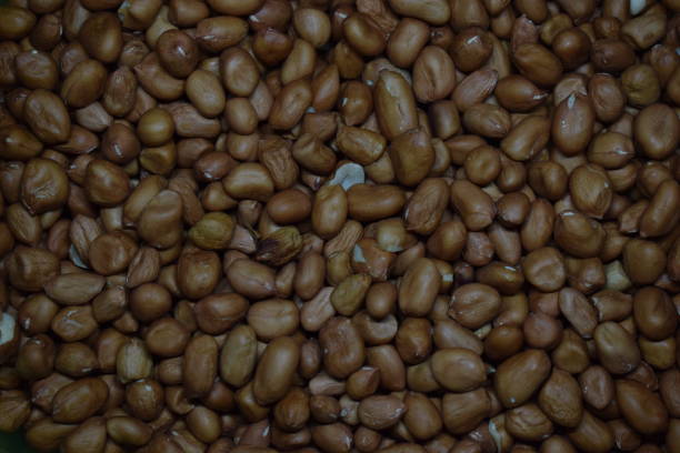 istock The Peanuts For Food Background 1166539356