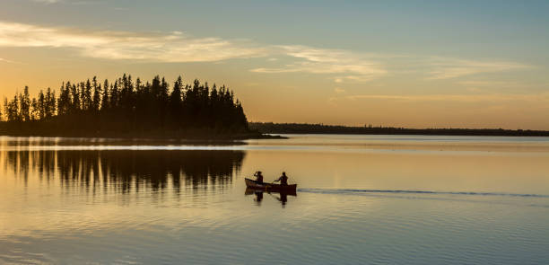 istock Elk Island National Park, Alberta 1166539792