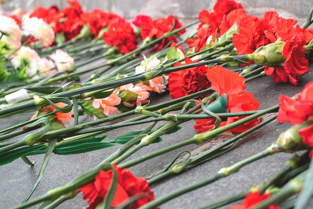 istock The red carnations laid on marble slabs 1166539799