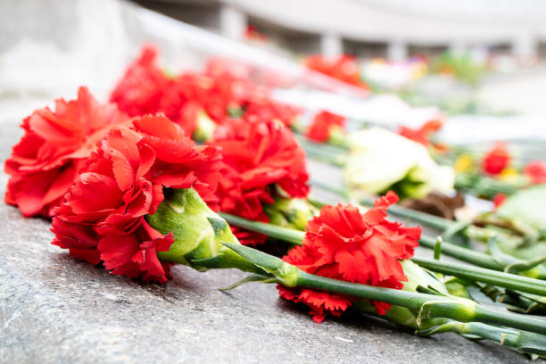 istock carnation flowers on a marble slab, background marble slabs 1166539810
