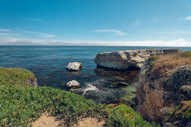 penhascos, oceano pacífico. área da praia de shell da praia de pismo, califórnia. lugar bonito para observação de aves, caiaque, snorkeling, pesca - route 1 pacific ocean beach cliff - fotografias e filmes do acervo