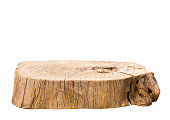 Beautiful texture of old tree stump table top on white background.