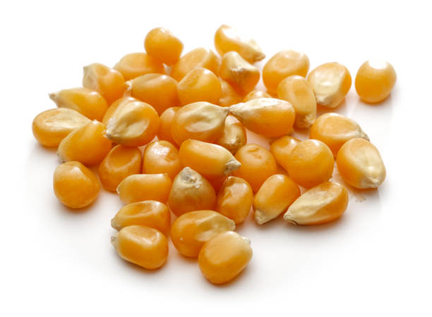 istock Heap of golden corn grains isolated 1166551143