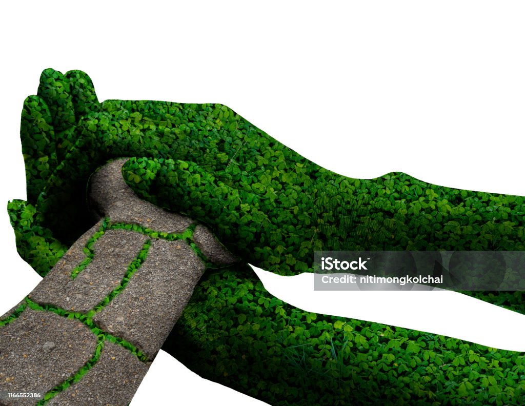 Greengrass Hand Environment Concept Green Grass Hand Isolated On White Background Stock ...