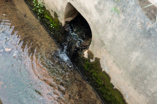 istock Close Up of Drain Pipe Moss Sludge 1166552439
