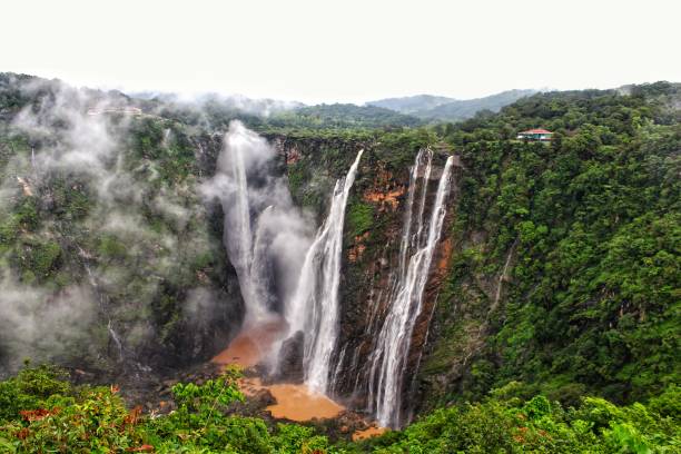istock Jog falls waterfall in shivamogga during monsoon season 1166553801