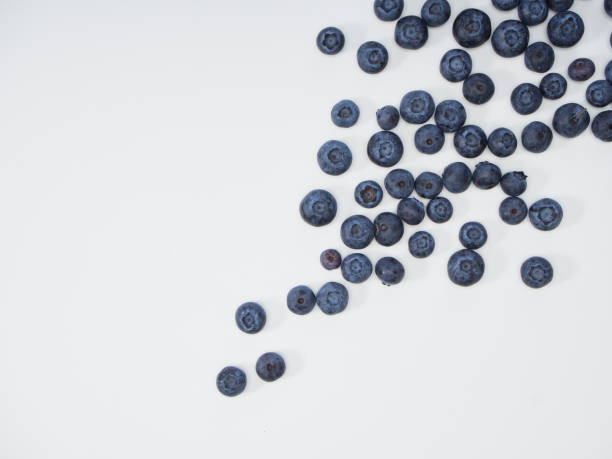 istock Freshly blueberry on white background. Berries watercolor image for healthy menu design 1166553876