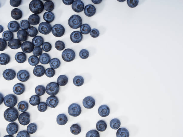 istock Freshly blueberry on white background. Berries watercolor image for healthy menu design 1166553891